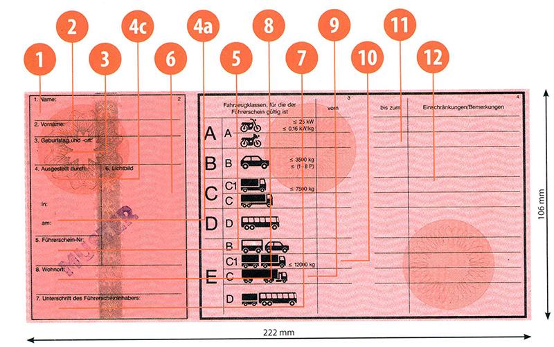 Austria A4 driving licence - Back