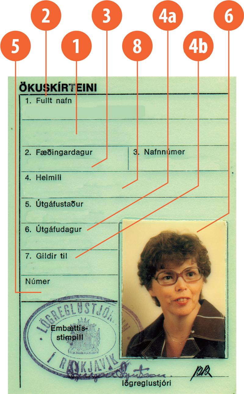 Iceland IS1 driving licence - Front
