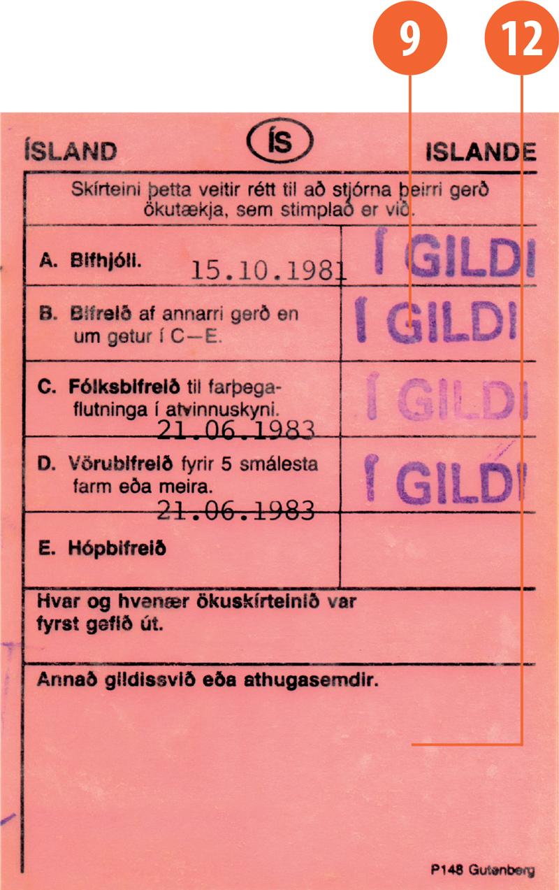 Iceland IS3 driving licence - Back