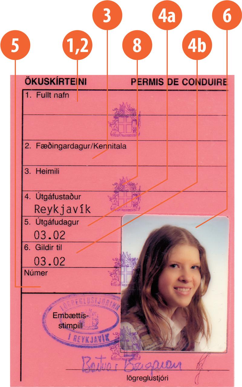 Iceland IS4 driving licence - Front