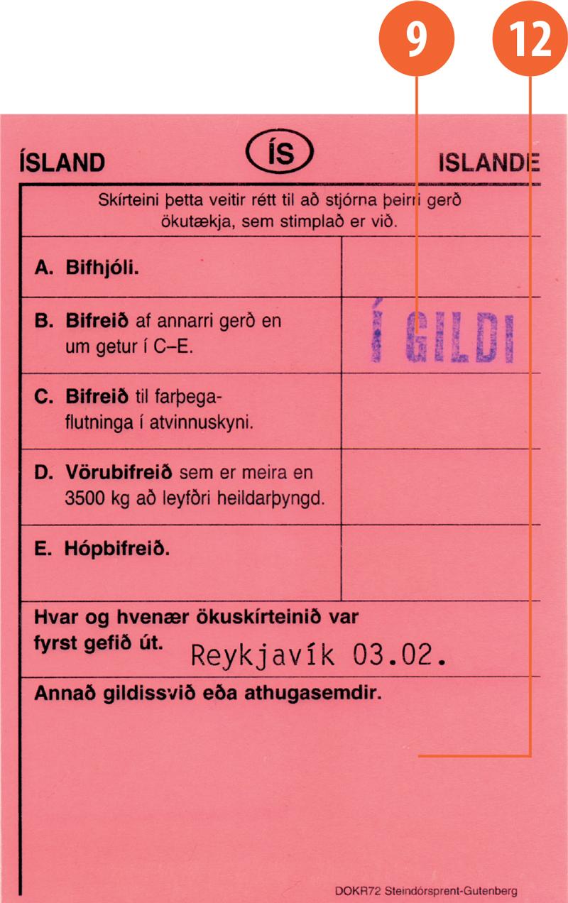 Iceland IS4 driving licence - Back