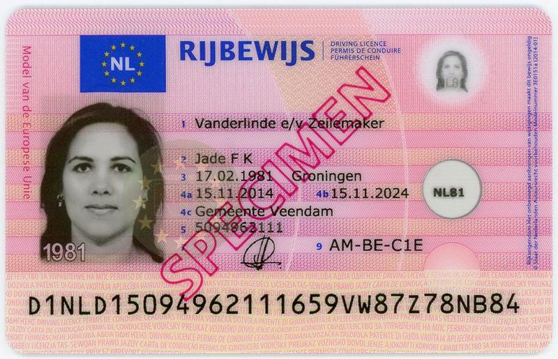 Netherlands NL8 driving licence - Front