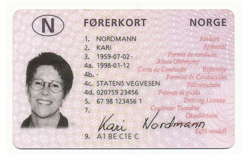 Norway N4 b driving licence - Front