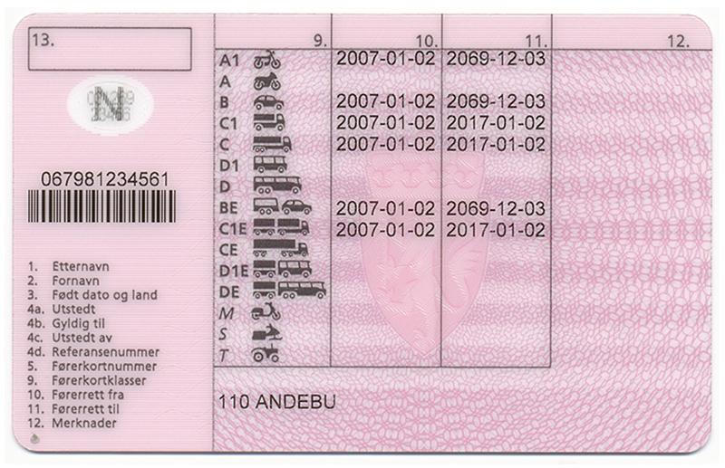 Norway N4 c driving licence - Back