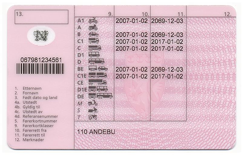 Norway N4 d driving licence - Back