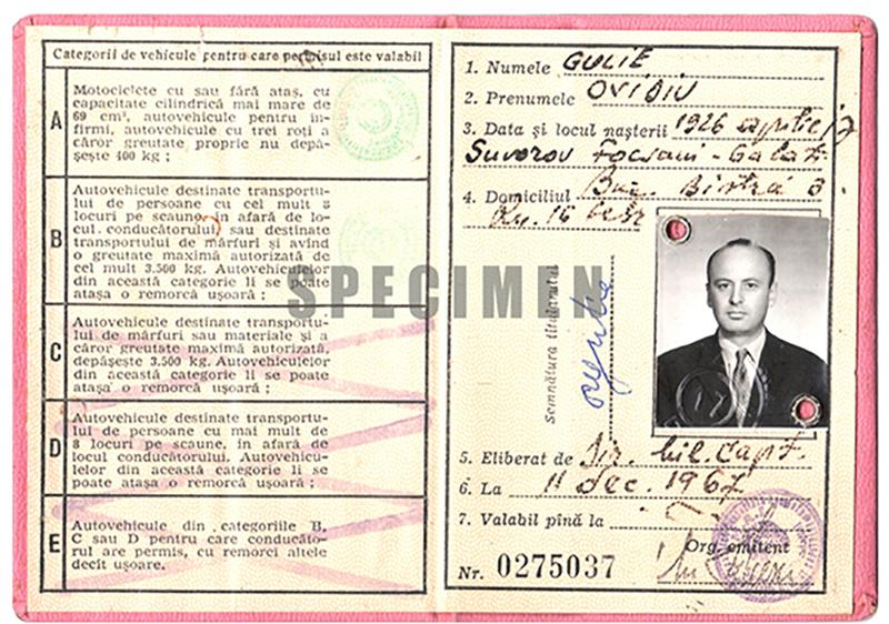 Romania RO1 driving licence - Back