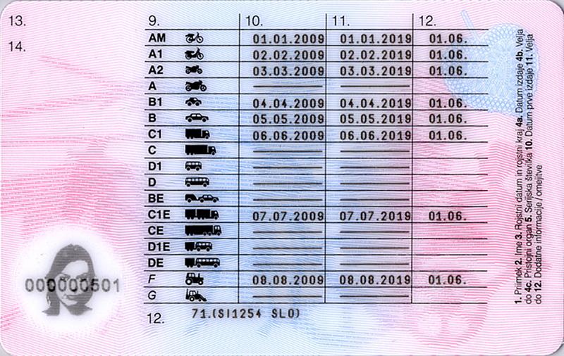 Slovenia SI3 driving licence - Back