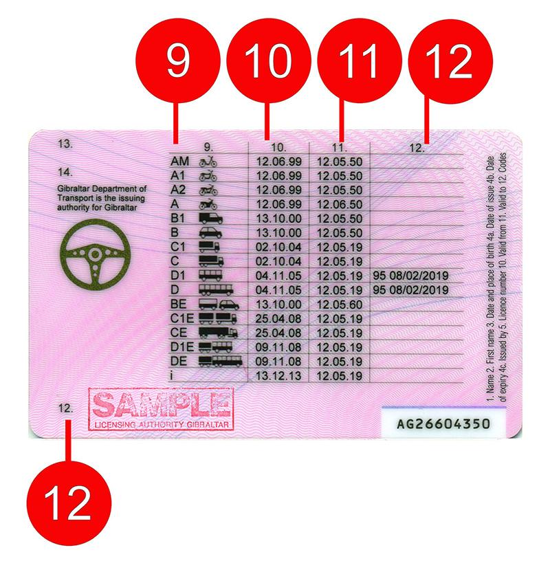 United Kingdom UK13 (Gibraltar) driving licence - Back